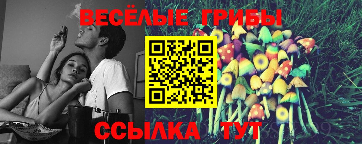 Псилоцибиновые грибы GOLDEN TEACHER Вольск