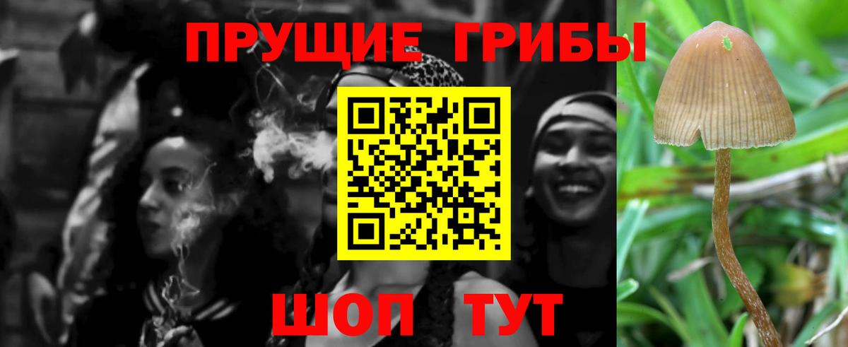 Галлюциногенные грибы мицелий  Галлюциногенные грибы Magic Shrooms  Вход с VPN  Вольск 